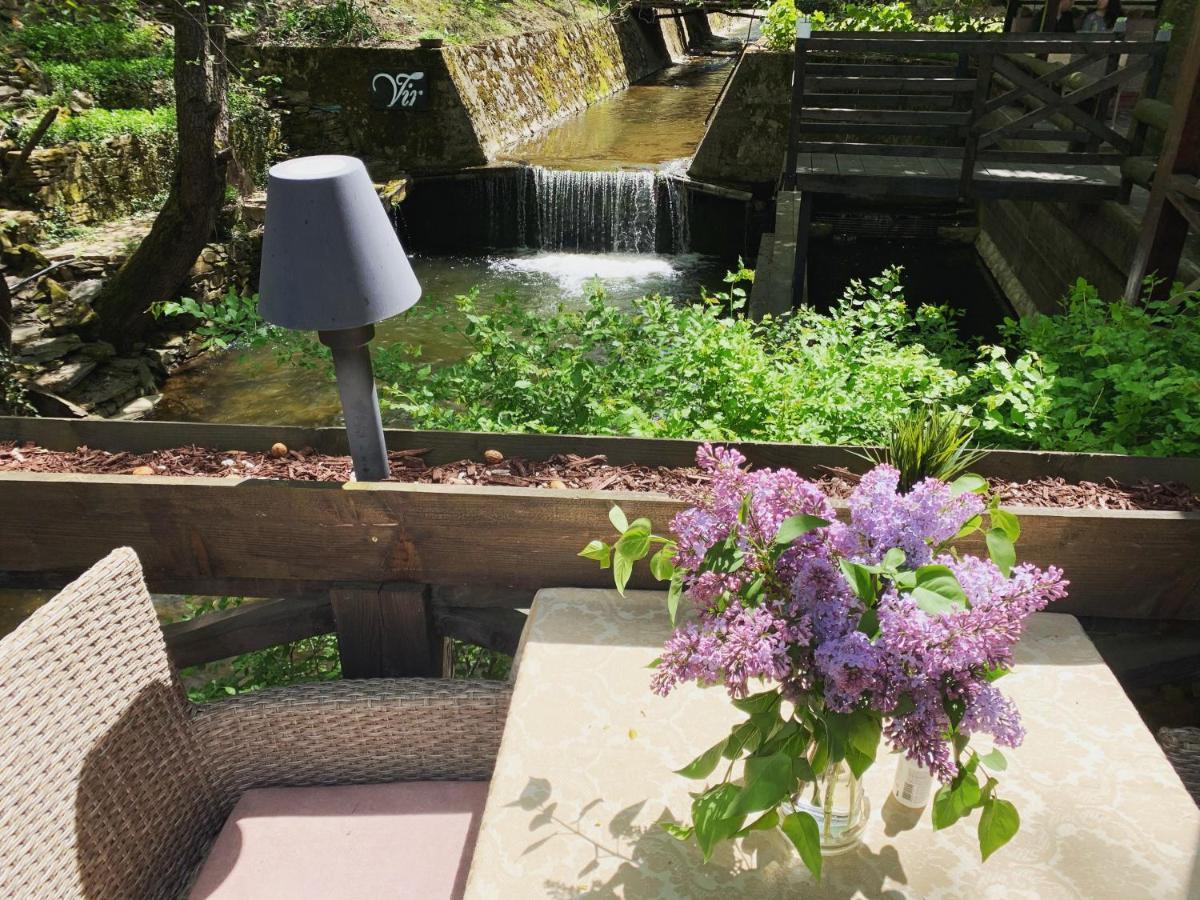 Garni Hotel Vir Vrnjačka Banja Екстериор снимка